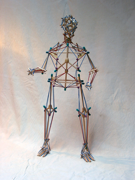 Human biotensegrity model showing bones suspended in tension network