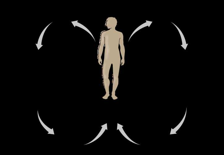 Body temperature homeostasis feedback loop