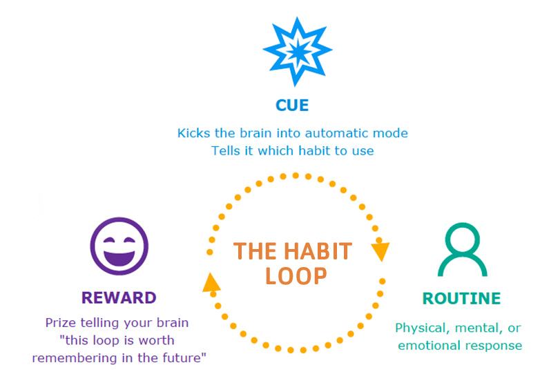 Habit loop diagram showing cue, routine, and reward cycle